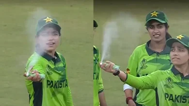 India Pakistan match insect attack