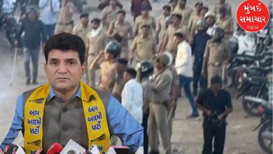 અંગ્રેજો કરતાં પણ બર્બરતા.... શાંત સભામાં ભાજપના નેતાઓએ પથ્થરબાજી કરી: આપનો આરોપ