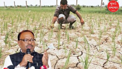 મહેસૂલ પ્રધાન ચંદ્રશેખર બાવનકુળે કૃષિ લોનમાફી વિશે વાત કરી રહ્યા છે.