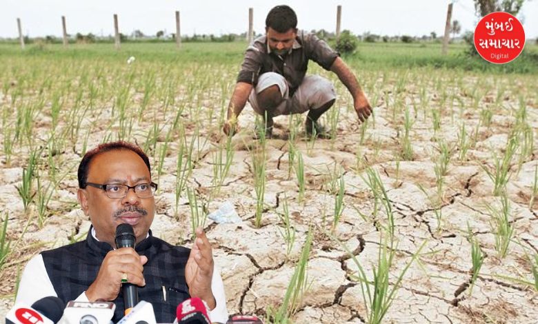 મહેસૂલ પ્રધાન ચંદ્રશેખર બાવનકુળે કૃષિ લોનમાફી વિશે વાત કરી રહ્યા છે.