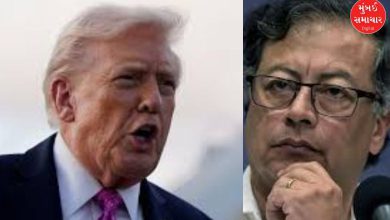 Trump Alleges Colombia Drug Production, Cuts Aid