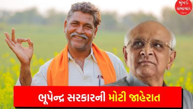 Bhupendra Patel government gave Diwali gift to farmers, announced relief package of Rs 947 crore for crop damage
