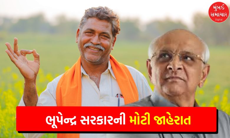 Bhupendra Patel government gave Diwali gift to farmers, announced relief package of Rs 947 crore for crop damage