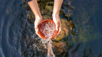 Domestic water consumption in the state is estimated to increase by 30 percent by 2030.