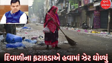 Toxic Firecrackers Released Heavy Metals: NGO