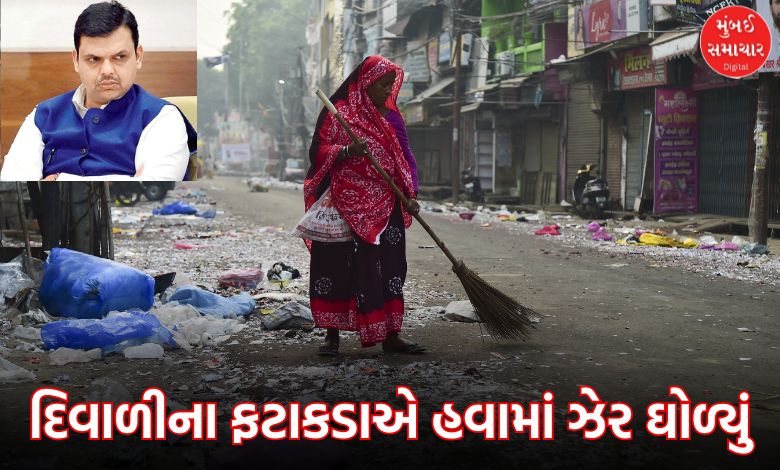 Toxic Firecrackers Released Heavy Metals: NGO