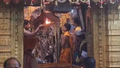 151-man Annakut festival in Dakor: Prasad 'looted' in just 11 minutes with chants of 'Jai Ranchhod'