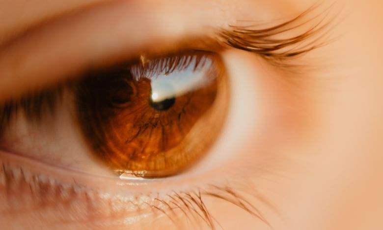 Madhya Pradesh carbide gun 14 children lost their eyesight