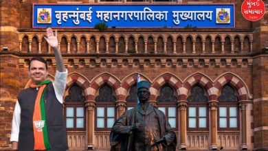 Should we fight the BMC elections on our own or with a Mahayuti, know what Fadnavis said?