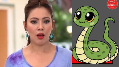 Tarak Mehta's Ultah Chashmah's snake became a fan