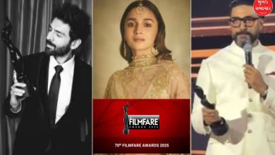 Filmfare Awards: Alia, Kartik and Abhishek Bachchan win Best Actor-Actress titles, see full list of winners