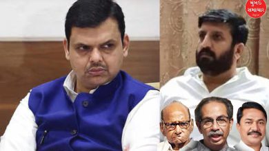 Fadnavis to Probe Nilesh Ghaywal Passport Case