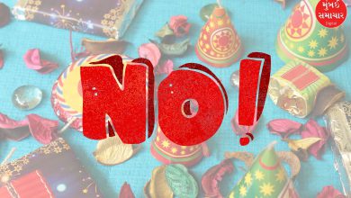 Not a single firecracker has exploded in this village of Maharashtra during Diwali for 11 years, knowing the reason, you too...