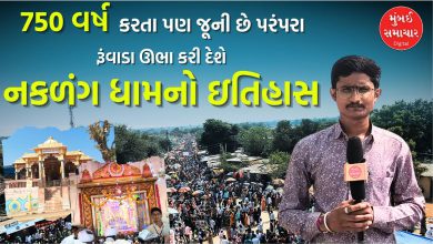 Peplu village of Banaskantha has preserved an age-old tradition, let's know the history of the temple and fair