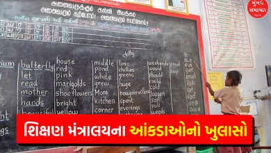 India's Single-Teacher Schools: A Growing Concern