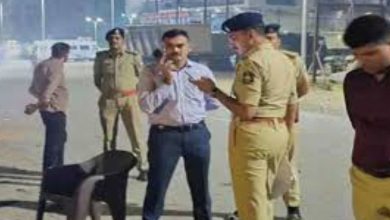 5 accused, including retired PSI's son, arrested in Junagadh firecracker dispute murder case