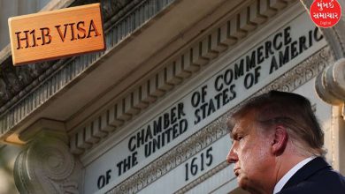 H-1B visa fee hike illegal! US Chamber of Commerce files lawsuit against Trump government