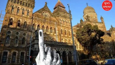 Mahayuti Gen-Zee Internship