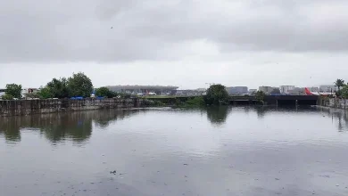 મીઠી નદી પર જૂના પુલને તોડી પાડીને નવો પુલ બાંધવામાં આવવાનો છે. ધારાવીમાં ડ્રાઈવ ઈન થિયેટર પાસે મીઠી નદી પર બાંધવામાં આવનારા પુલના