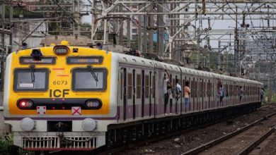 આવતીકાલે દિવાળીની શોપિંગ માટે બહાર નીકળવાના છો? લોકલ ટ્રેનની આ અપડેટ જાણી લો, નહીંતર પસ્તાશો...