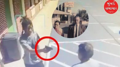 2025માં અમેરિકામાં 7 ગુજરાતી મૂળનાં લોકોની હત્યા, મોટલ માલિકો કેમ બની રહ્યા છે નિશાન ?