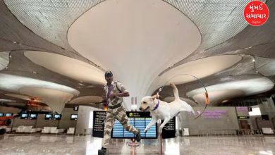 નવી મુંબઈ આંતરરાષ્ટ્રીય એરપોર્ટ પર સીઆઈએસએફના અધિકારીઓ સુરક્ષા સંભાળી રહ્યા છે.