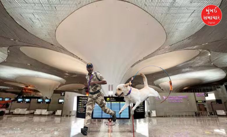 નવી મુંબઈ આંતરરાષ્ટ્રીય એરપોર્ટ પર સીઆઈએસએફના અધિકારીઓ સુરક્ષા સંભાળી રહ્યા છે.