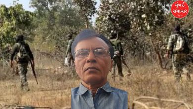 Naxalite surrenders in Gadchiroli