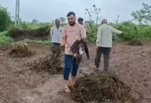 અમરેલી જિલ્લાના રાજુલા અને જાફરાબાદ તાલુકામાં કમોસમી વરસાદને કારણે મોટા પ્રમાણમાં ખેડૂતોને નુકસાન થયું છે. જેથી ખેડૂતોને આ નુકસાન માટે વળતરની માંગણી