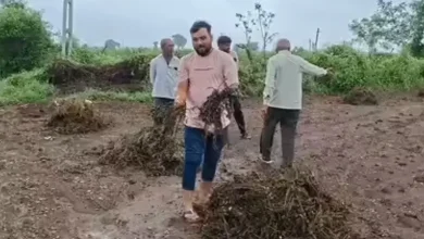 અમરેલી જિલ્લાના રાજુલા અને જાફરાબાદ તાલુકામાં કમોસમી વરસાદને કારણે મોટા પ્રમાણમાં ખેડૂતોને નુકસાન થયું છે. જેથી ખેડૂતોને આ નુકસાન માટે વળતરની માંગણી