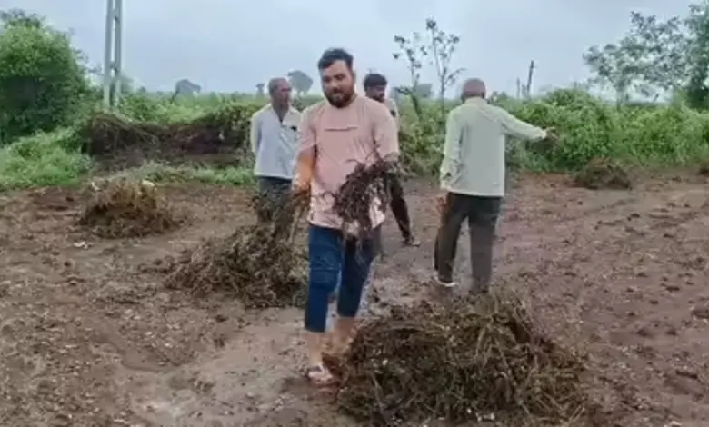 અમરેલી જિલ્લાના રાજુલા અને જાફરાબાદ તાલુકામાં કમોસમી વરસાદને કારણે મોટા પ્રમાણમાં ખેડૂતોને નુકસાન થયું છે. જેથી ખેડૂતોને આ નુકસાન માટે વળતરની માંગણી