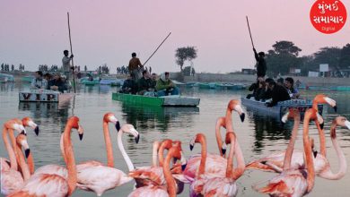 Nal Sarovar will be crowded: Boating likely to start from December