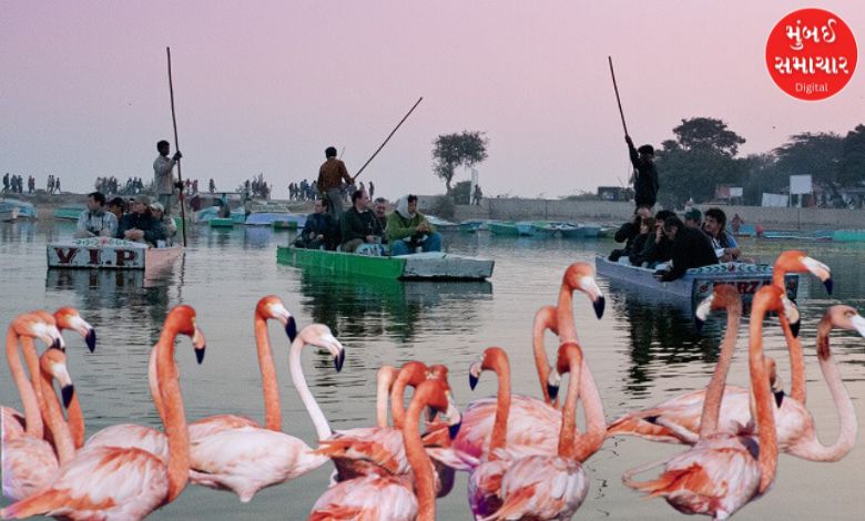 Nal Sarovar will be crowded: Boating likely to start from December