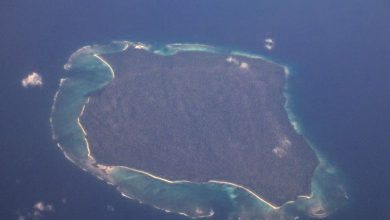 It's difficult to return alive from this dangerous island in India, knowing the reason will make your hair stand on end...