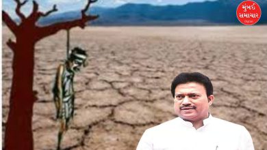 Parbhani-Beed farmer suicide relief package