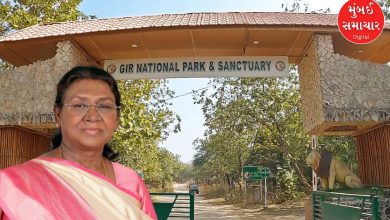 રાષ્ટ્રપતિ દ્રૌપદી મુર્મુ ગુજરાતનાં મહેમાન, સાસણ ગીરમાં સિંહોને નિહાળશે, આદિવાસીઓને મળશે
