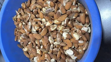 રાજકોટ આરોગ્ય વિભાગને મળ્યો 300 કિલો સડેલી બદામનો જથ્થો