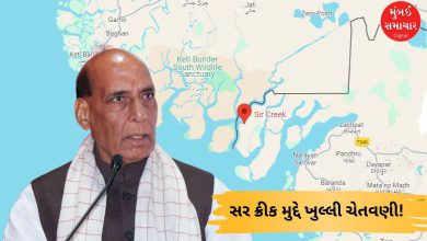 ભુજમાં શસ્ત્રપૂજા બાદ રક્ષામંત્રી રાજનાથ સિંહ પાકિસ્તાનને સર ક્રીક મુદ્દે ચેતવણી આપતા