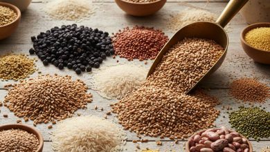 સારા સમાચાર: રવિ પાકોના ટેકાના ભાવમાં સરેરાશ ૪ થી ૧૦% નો વધારો; ઘઉં, ચણા, રાયડાના ભાવમાં મોટો વધારો