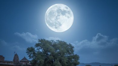 શરદ પૂર્ણિમા: જાણો પૂજાનું શુભ મુહૂર્ત, વિધિ અને તેનું ધાર્મિક મહત્વ