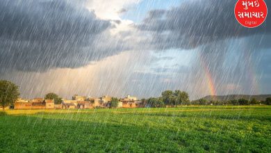 Light rain on the first day of the new year increased farmers' concerns, rain alert for 6 days