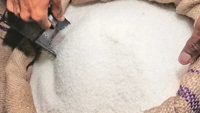 Sugar Prices Fall in Maharashtra"