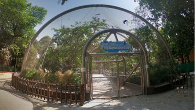 નાહુર બર્ડ પાર્ક માટેના ટેન્ડરને મુદત વધારો