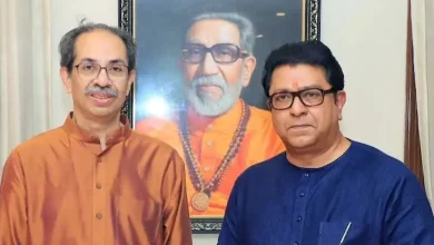 Thackeray brothers' reunion