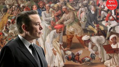 અંગ્રેજોએ ભારત પર રાજ નથી કર્યું: મસ્કની પોસ્ટ પર ભારતીયોનો આક્રોશ, X પર ઠાલવ્યો રોષ