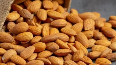 બદામ ખાવાથી બુદ્ધિ વધે અને બદામ એ પૌષ્ટિક તત્ત્વોની ખાણ માનવામાં આવે છે. સ્વાસ્થ્યની દ્રષ્ટિએ બદામનું સેવન કરવું ખૂબ જ સ્વાસ્થ્યવર્ધક ગણાય છે. પરંતું શું તમે જાણો છો કે તમે