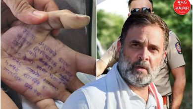 'This is institutional murder': Rahul Gandhi attacks BJP government over female doctor suicide case