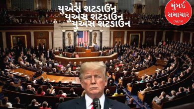 Government shutdown comes to a standstill due to division in Senate over Trump's funding bill, 20th shutdown in 50 years