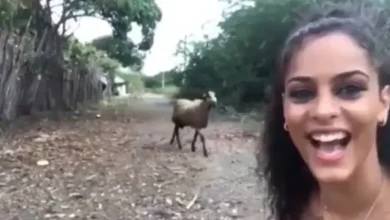 સોશિયલ મીડિયાના યુગમાં, જ્યાં દરેક વ્યક્તિ રીલ્સ બનાવવામાં વ્યસ્ત છે, ત્યાં ક્યારેક અજાણતામાં એવી કોમેડી થઈ જાય છે કે દર્શકો હસ્યા વગર રહી શકતા નથી