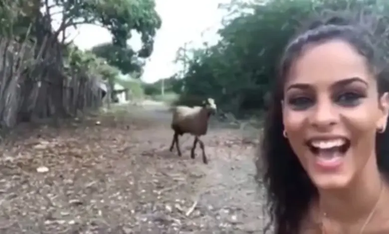 સોશિયલ મીડિયાના યુગમાં, જ્યાં દરેક વ્યક્તિ રીલ્સ બનાવવામાં વ્યસ્ત છે, ત્યાં ક્યારેક અજાણતામાં એવી કોમેડી થઈ જાય છે કે દર્શકો હસ્યા વગર રહી શકતા નથી